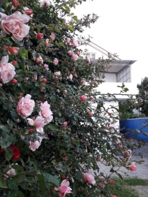 Guest House Anastasiya
